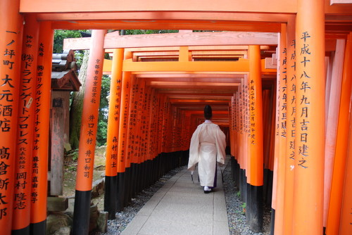11.Fushimi Inari
