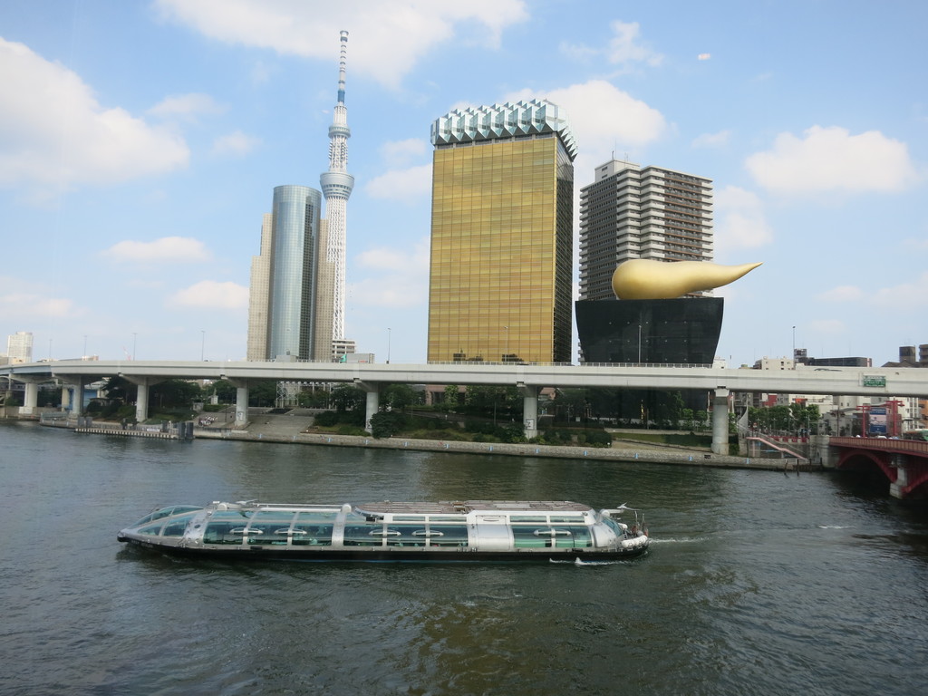 29.Vistas desde el puente Azuma bashi