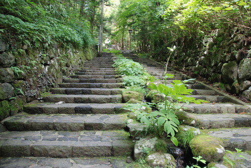 04.Nikko