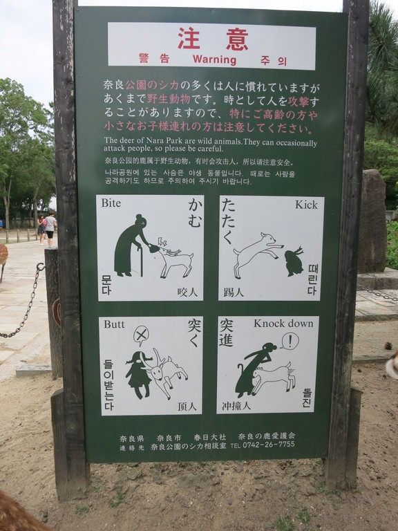 05.Nara