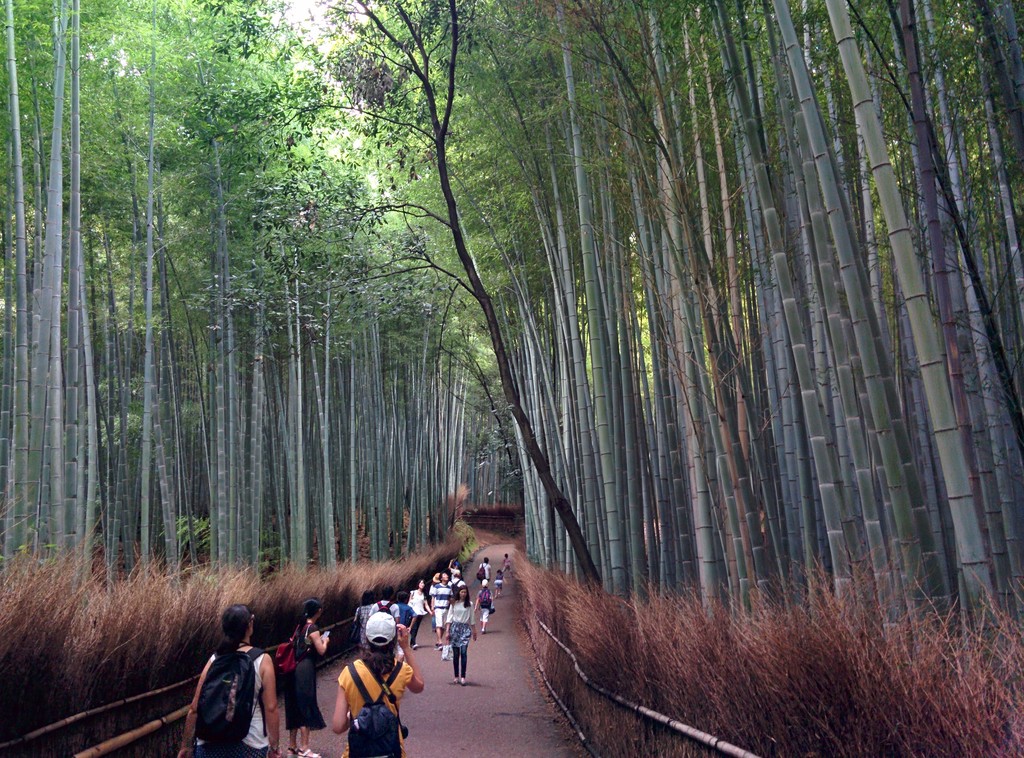 25.Arashiyama