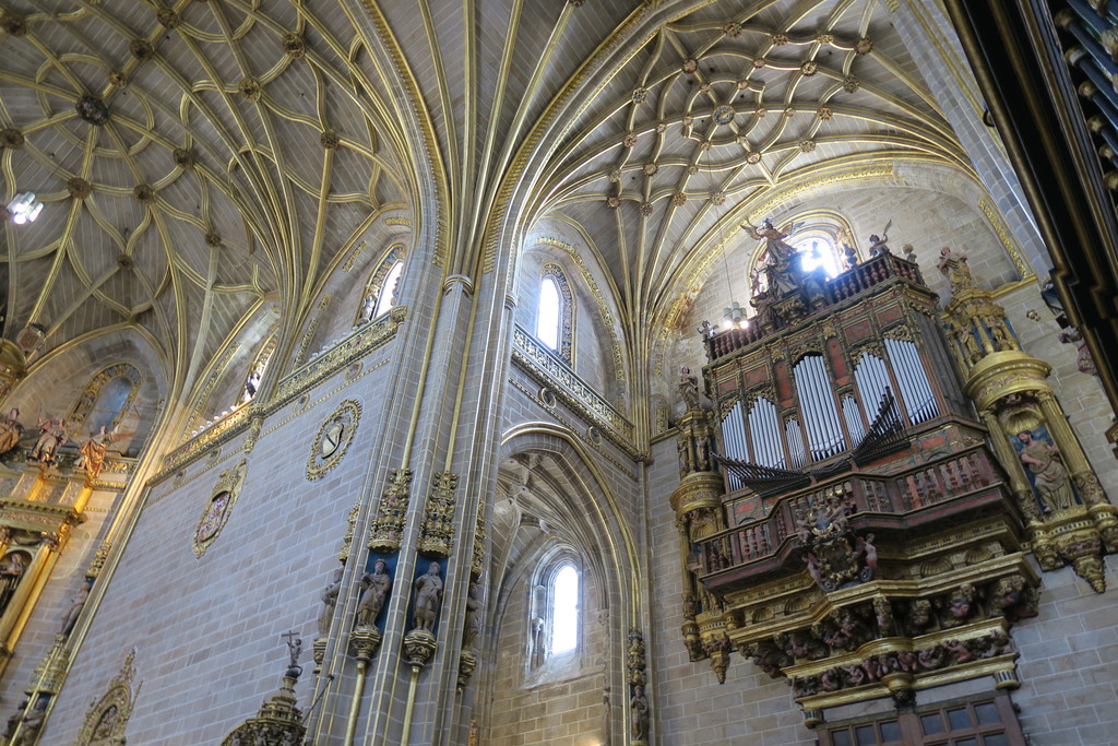 21.catedral nueva Plasencia