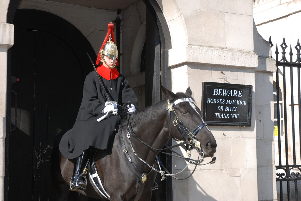 Horse Guard