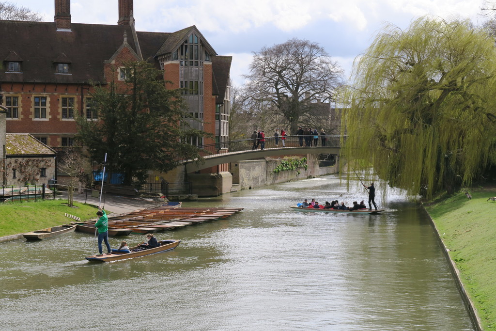 26.backs Cambridge