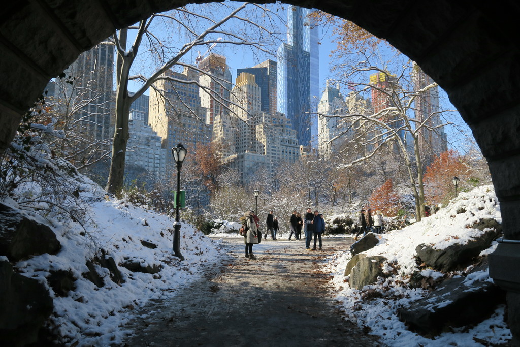 43.Viaje a Nueva York en Navidad