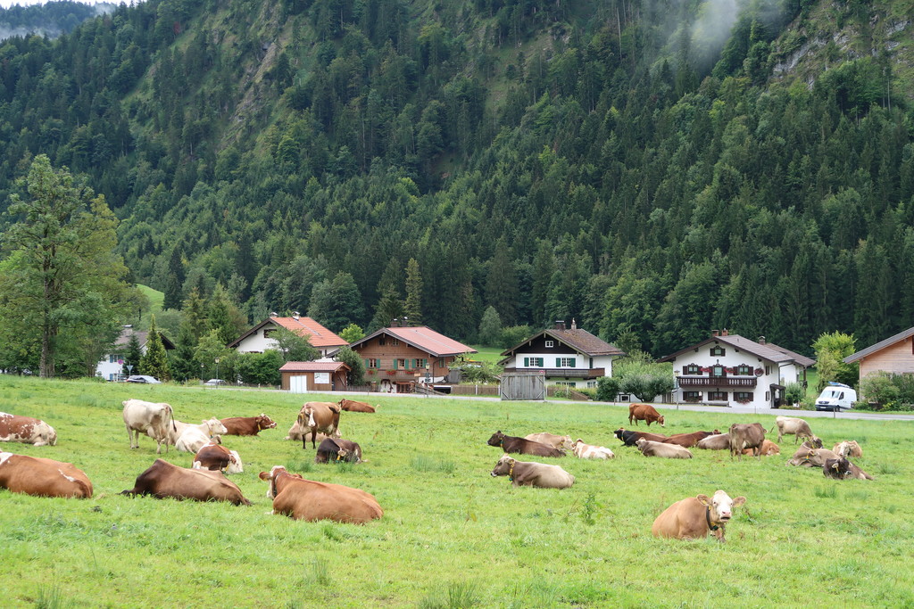 13.Abadía de Ettal