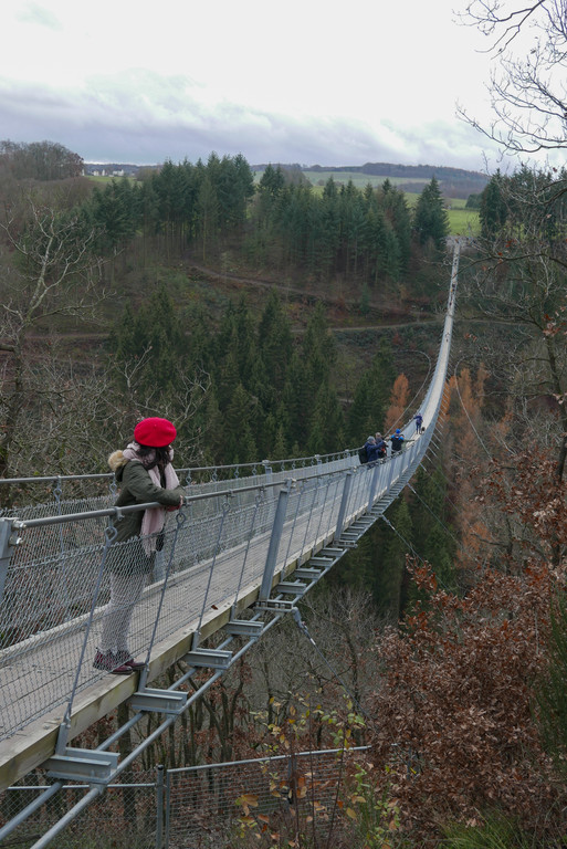 29.Puente colgante de Geierlay