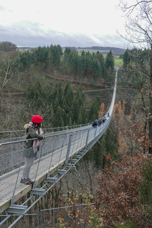 07.puente colgante Geierlay