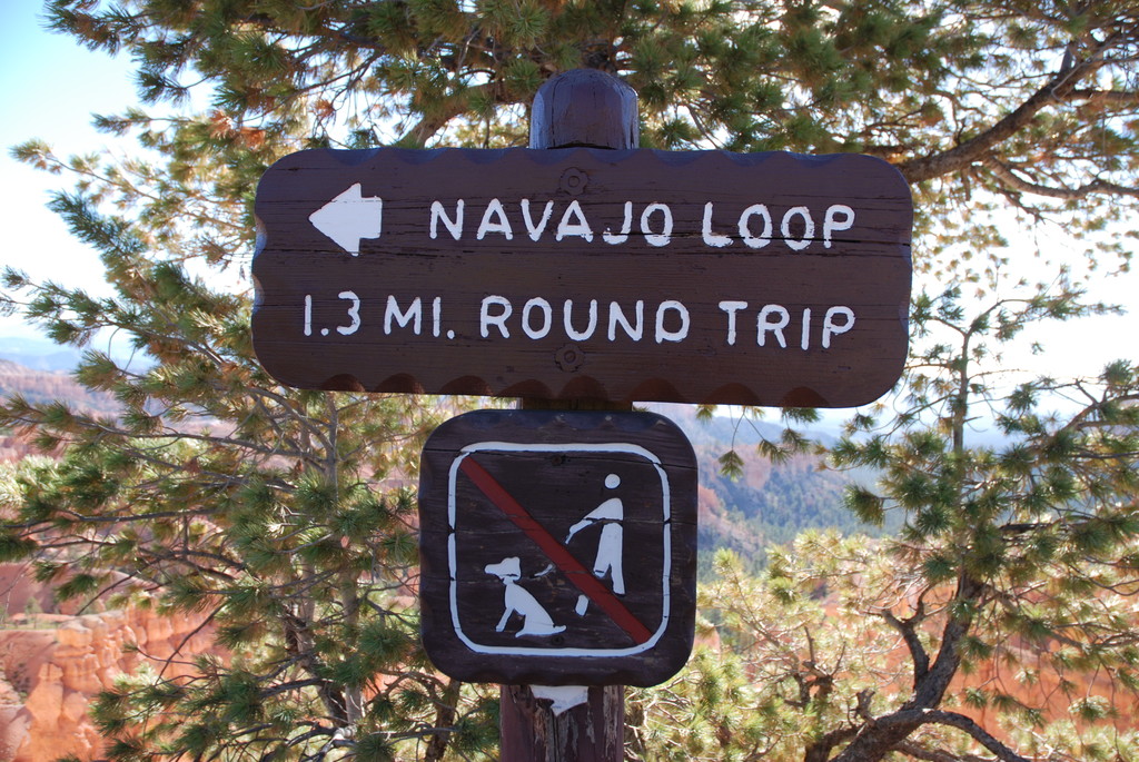 Bryce National Park