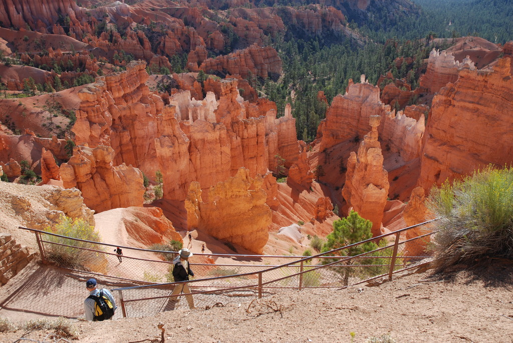 Bryce National Park