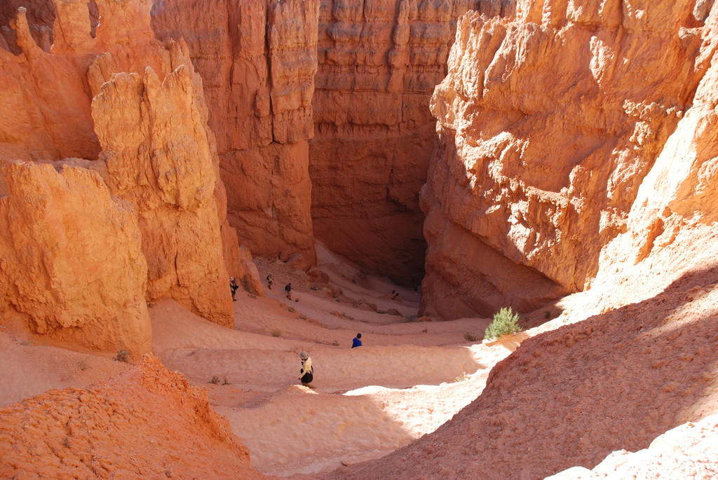 Bryce National Park