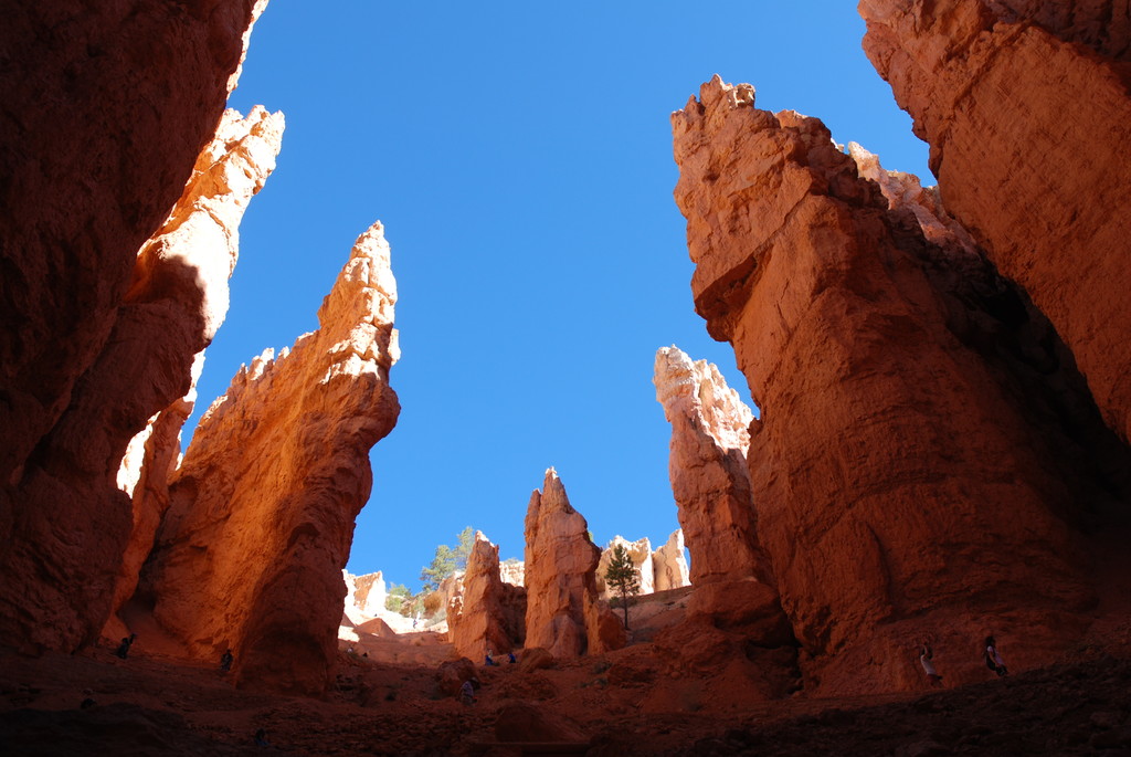 Bryce National Park