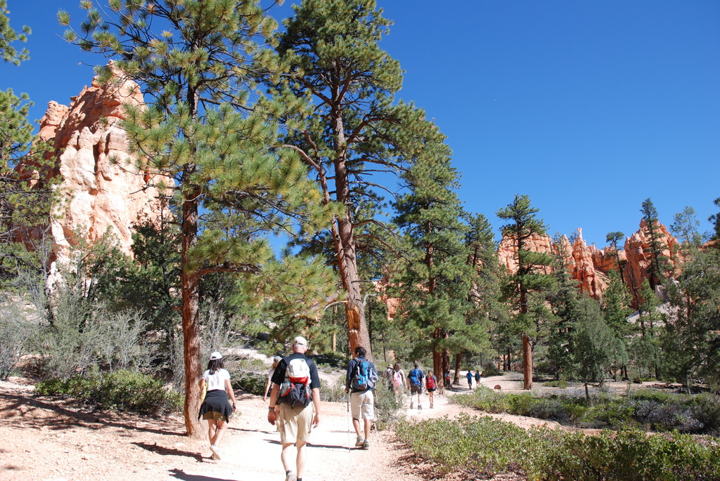 Bryce National Park