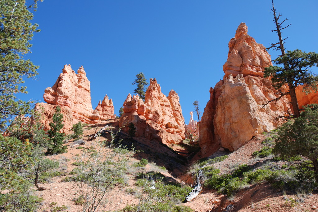 Bryce National Park