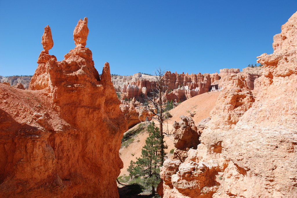 Bryce National Park