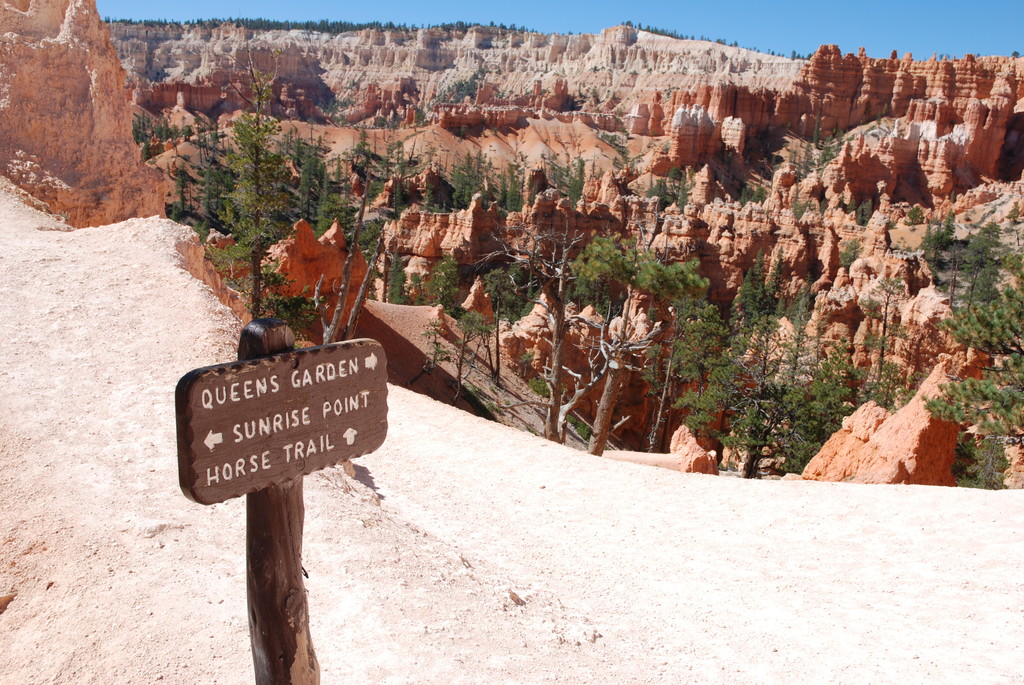 Bryce National Park