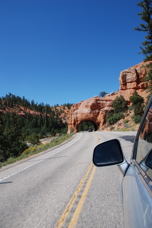 Zion National Park