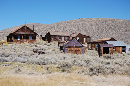 23.Bodie