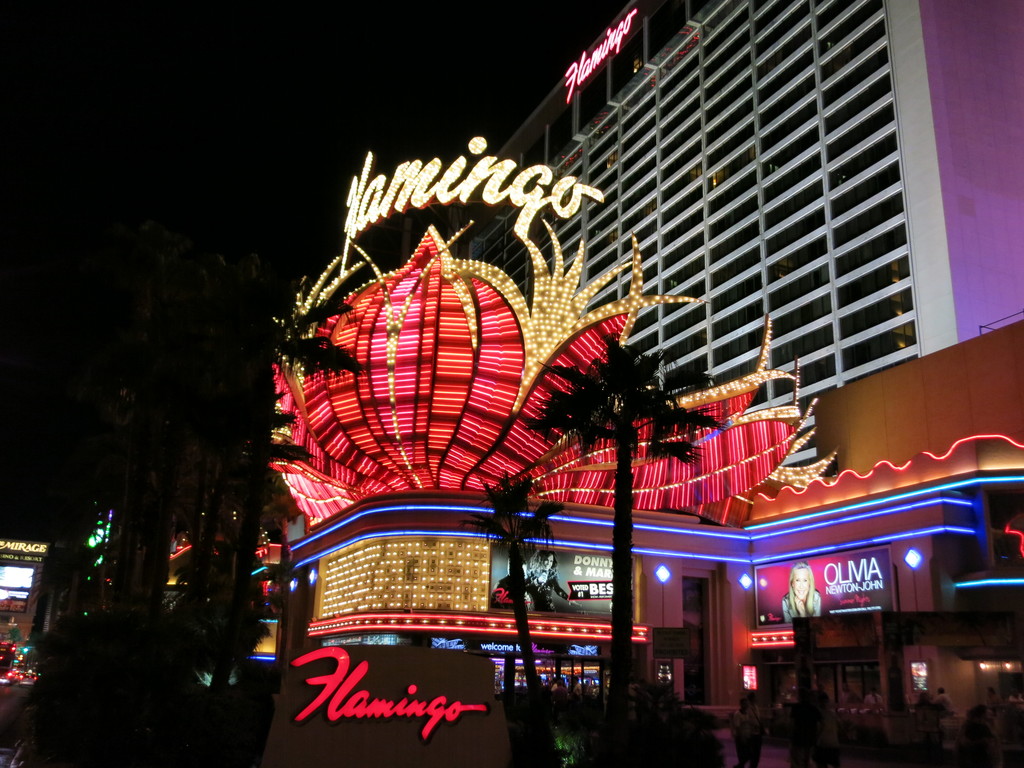 Hotel Flamingo Las Vegas