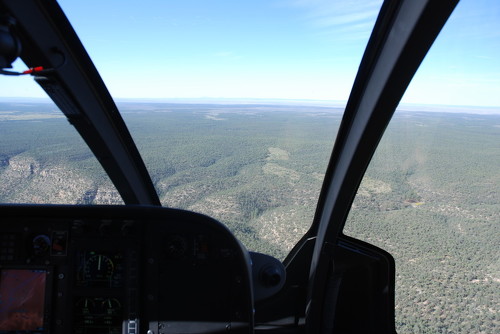 helicoptero gran cañon