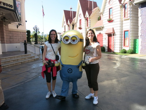 7.Minion