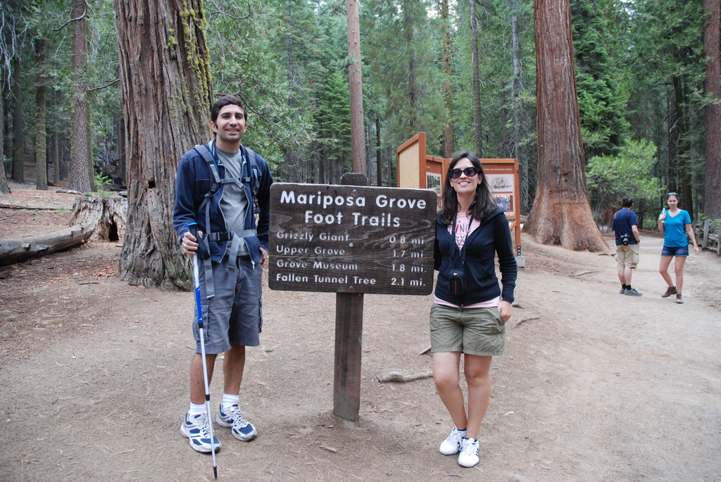 1.Mariposa Grove