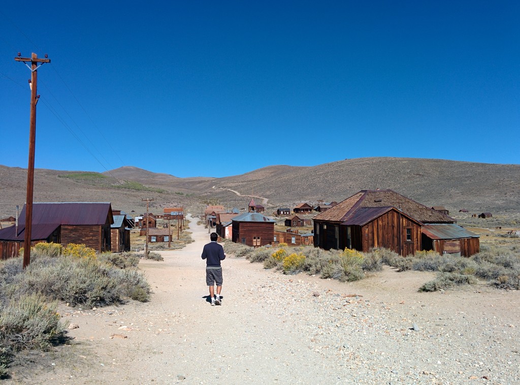 14.Bodie