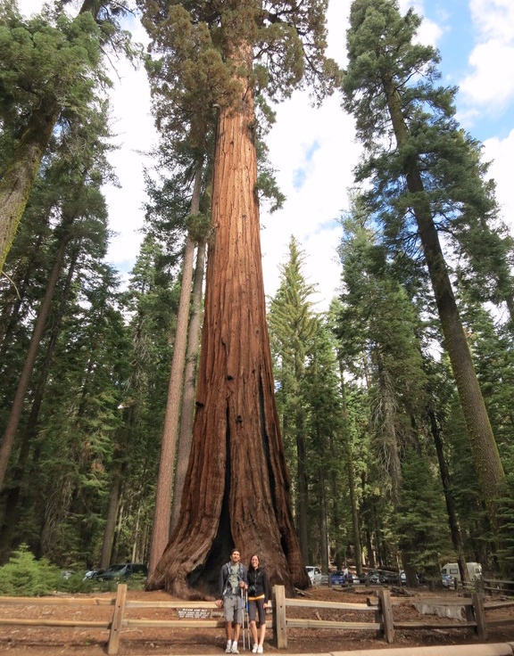 2.Mariposa Grove