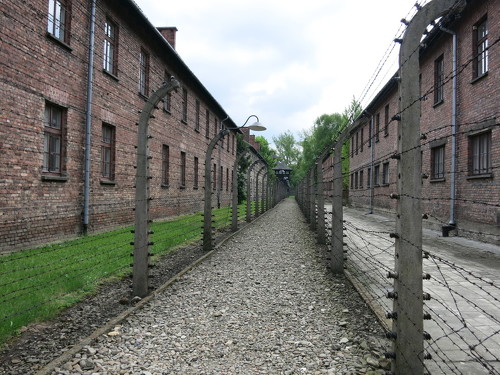 07.Auschwitz