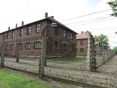08.Auschwitz