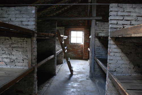 25.Auschwitz