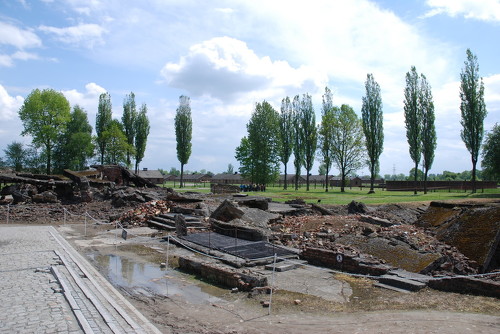 27.Auschwitz