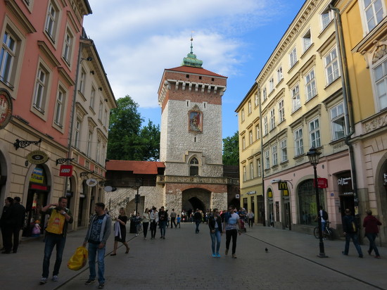 15.Cracovia