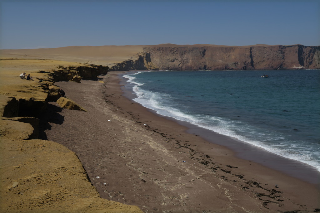 Reserva Nacional de Paracas