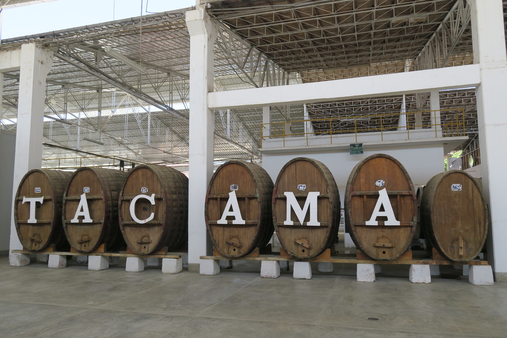 Ica bodega Tacama