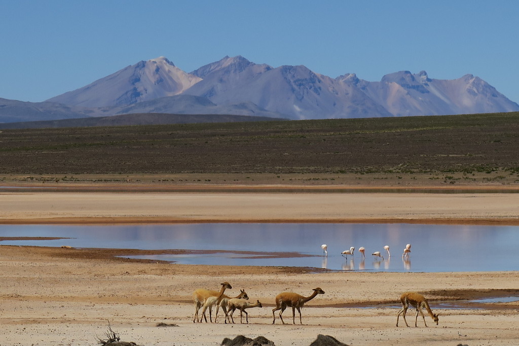 Valle del Colca