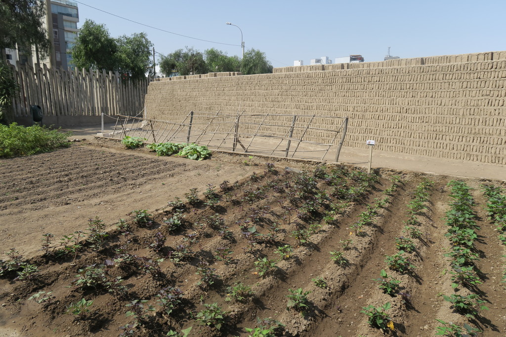 Huaca Pucllana Lima