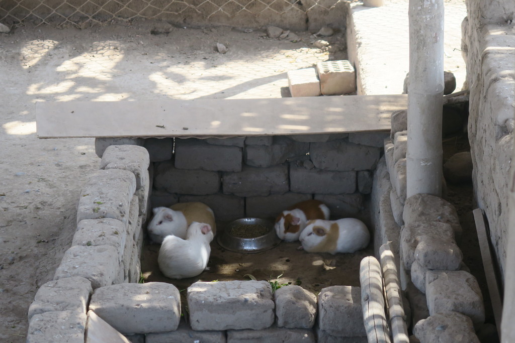 Huaca Pucllana Lima