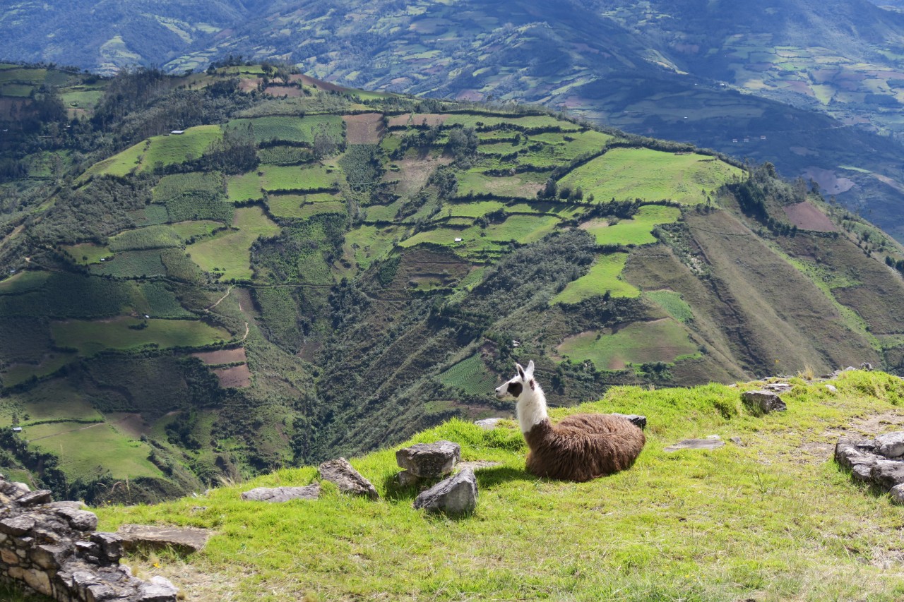 Viaje de 24 días a Perú
