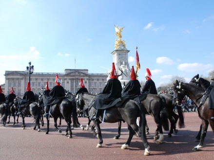 cambio de guardia buckingham palace